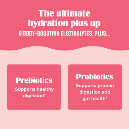 Ultima Replenisher Gut Health Supplement and Electrolytes Powder - Raspberry Lemonade, 14 Stickpacks - dailyvitalstore