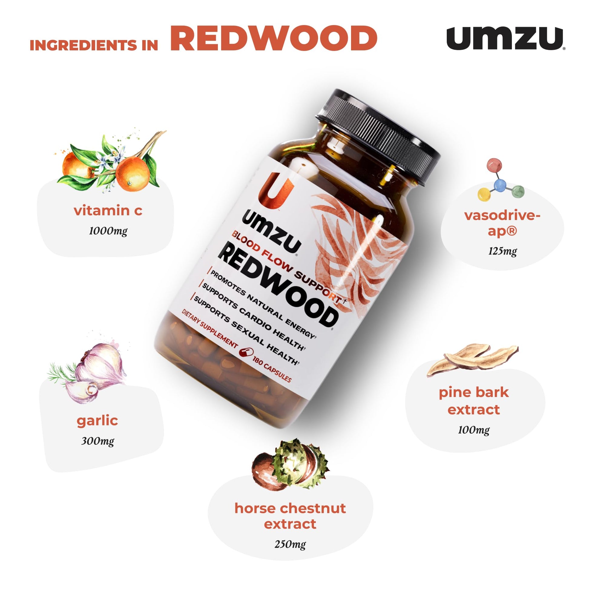 UMZU Redwood Nitric Oxide Booster, (30 Day Supply) – Vitamin C, Garlic & Horse Chestnut – Healthy Circulation & Endurance – Daily Cardiovascular Support Nitric Oxide - dailyvitalstore