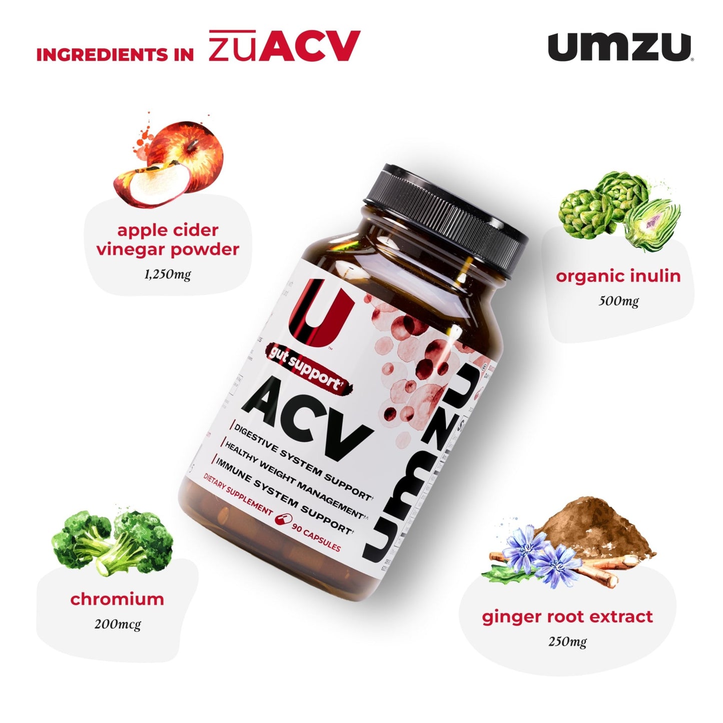 UMZU zuACV Apple Cider Vinegar + Prebiotics Supplement, (30 Day Supply) – ACV & Inulin Fiber Blend – Gut Health Support with ACV Capsules - dailyvitalstore