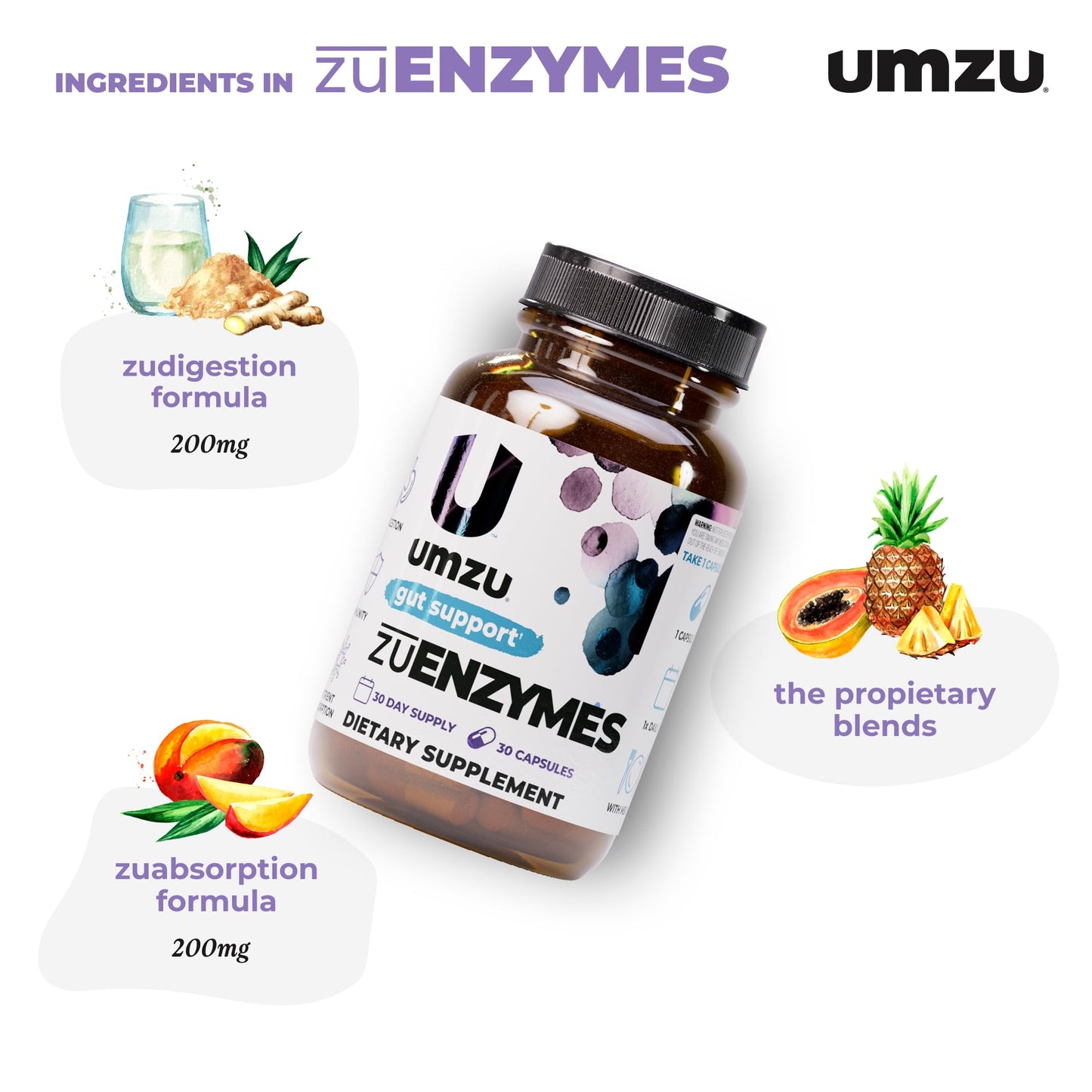 UMZU zuEnzymes Digestive Support Supplement, (30 Day Supply) – 21 Enzyme Blend with Lipase Protease & Amylase – Digestive Enzymes for Gut Health & Probiotic Daily - dailyvitalstore