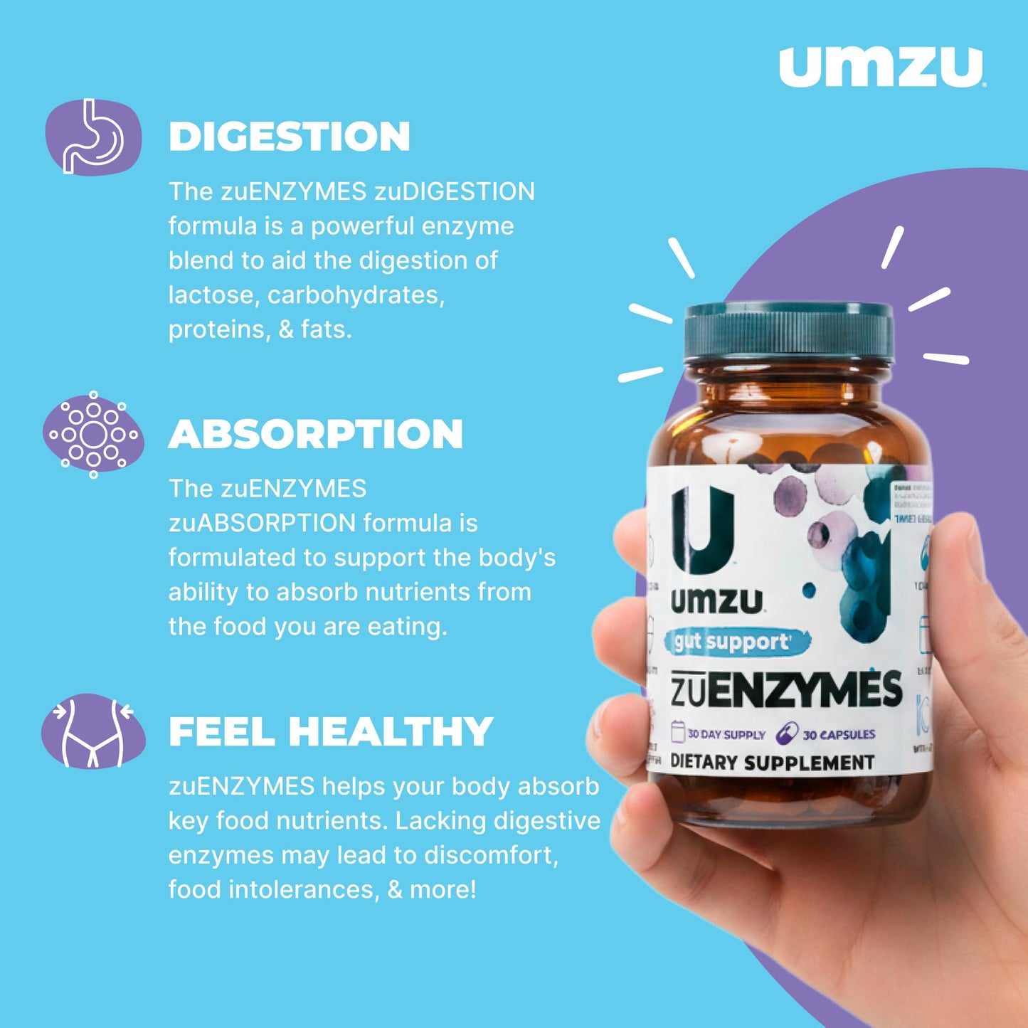 UMZU zuEnzymes Digestive Support Supplement, (30 Day Supply) – 21 Enzyme Blend with Lipase Protease & Amylase – Digestive Enzymes for Gut Health & Probiotic Daily - dailyvitalstore