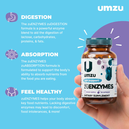 UMZU zuEnzymes Digestive Support Supplement, (30 Day Supply) – 21 Enzyme Blend with Lipase Protease & Amylase – Digestive Enzymes for Gut Health & Probiotic Daily - dailyvitalstore