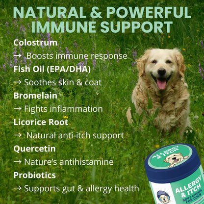Under the Weather Allergy & Itch Pet Allergy Chews for Dogs | Vet Formulated Skin Support for Canines | Soothing Dog Allergies and Itching Relief Supplement | 60 Count - dailyvitalstore