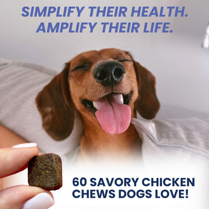 Under the Weather Multivitamin for Dogs | Vet Formulated Daily Canine Health Supplies for Immunity, Skin, Coat & Joint Support | All-in-One Multivitamin for Dogs of All Breeds & Sizes | 60 Count - dailyvitalstore