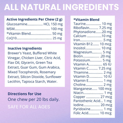 Under the Weather Multivitamin for Dogs | Vet Formulated Daily Canine Health Supplies for Immunity, Skin, Coat & Joint Support | All-in-One Multivitamin for Dogs of All Breeds & Sizes | 60 Count - dailyvitalstore
