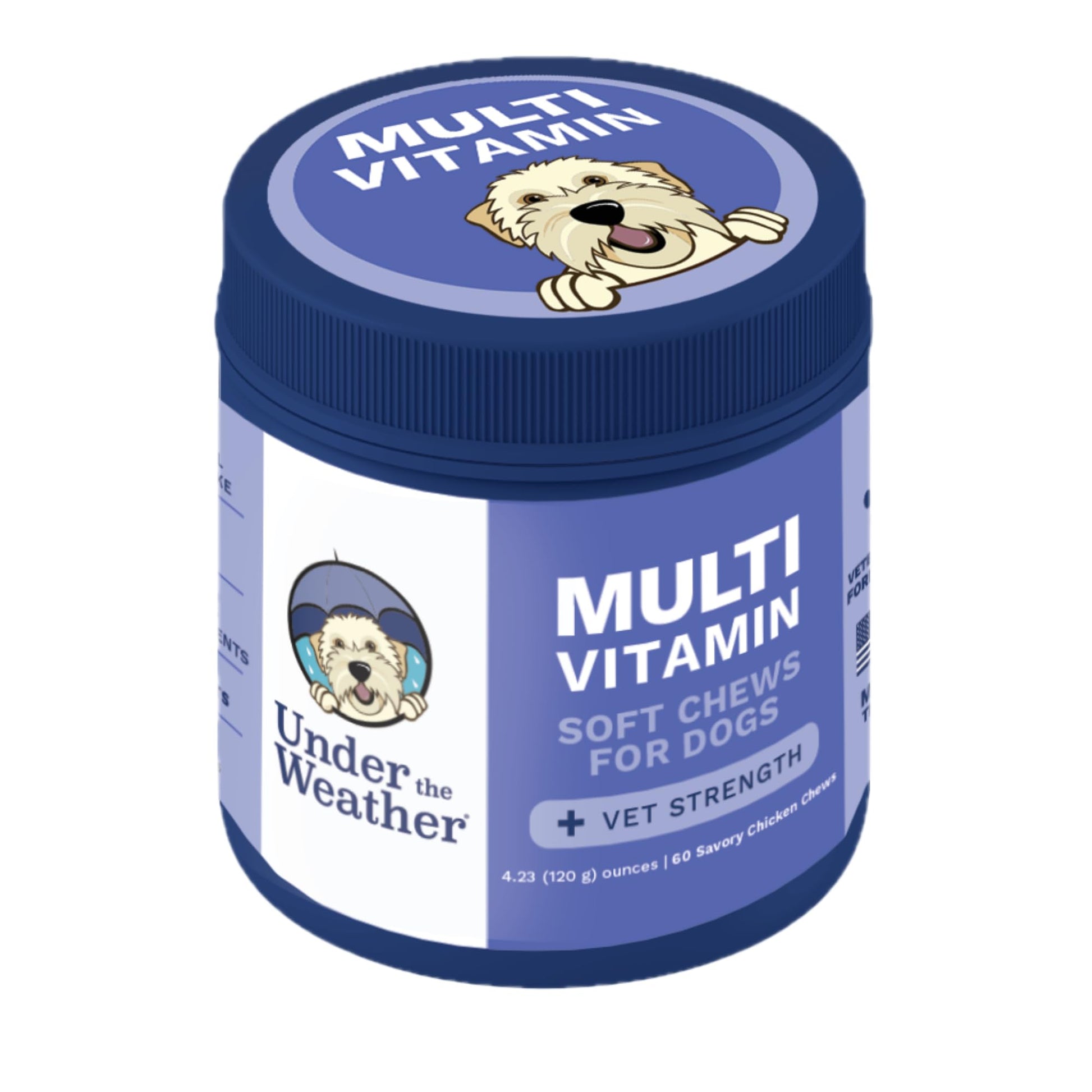 Under the Weather Multivitamin for Dogs | Vet Formulated Daily Canine Health Supplies for Immunity, Skin, Coat & Joint Support | All-in-One Multivitamin for Dogs of All Breeds & Sizes | 60 Count - dailyvitalstore