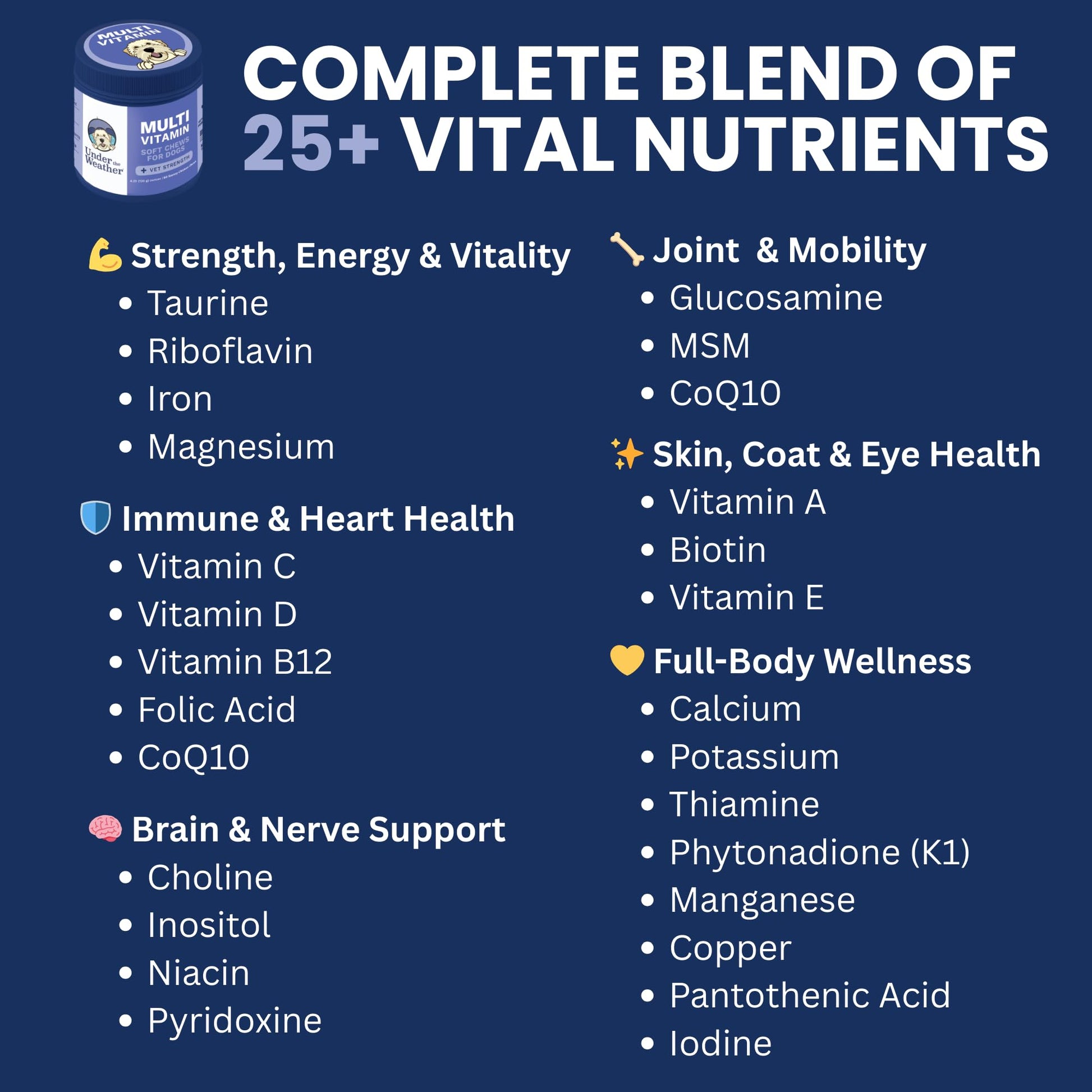 Under the Weather Multivitamin for Dogs | Vet Formulated Daily Canine Health Supplies for Immunity, Skin, Coat & Joint Support | All-in-One Multivitamin for Dogs of All Breeds & Sizes | 60 Count - dailyvitalstore