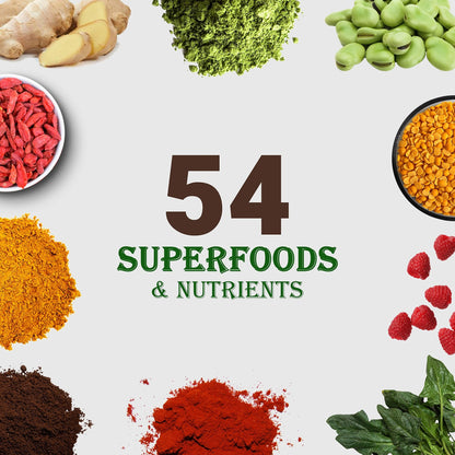 UpNourish Chocolate Vegan Protein Powder 54 Superfoods Powder,1.5 Billion CFU Probiotics 21g Plant Based Protein,No Sugar No Dairy No GMO Dairy Free,Meal Replacement Shake Keto-Friendly Low-Carb Diet,15 Servings - dailyvitalstore