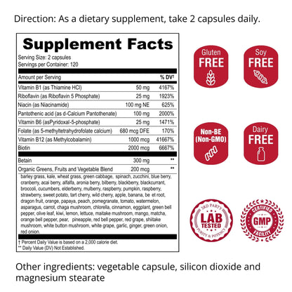 UpNourish Methylated B Complex Vitamins for Women and Men, 240 Veggies Capsules - Active Pure B Complex with Organic Fruits, Vegetables, B1 Thiamine, B2 Riboflavin, - dailyvitalstore