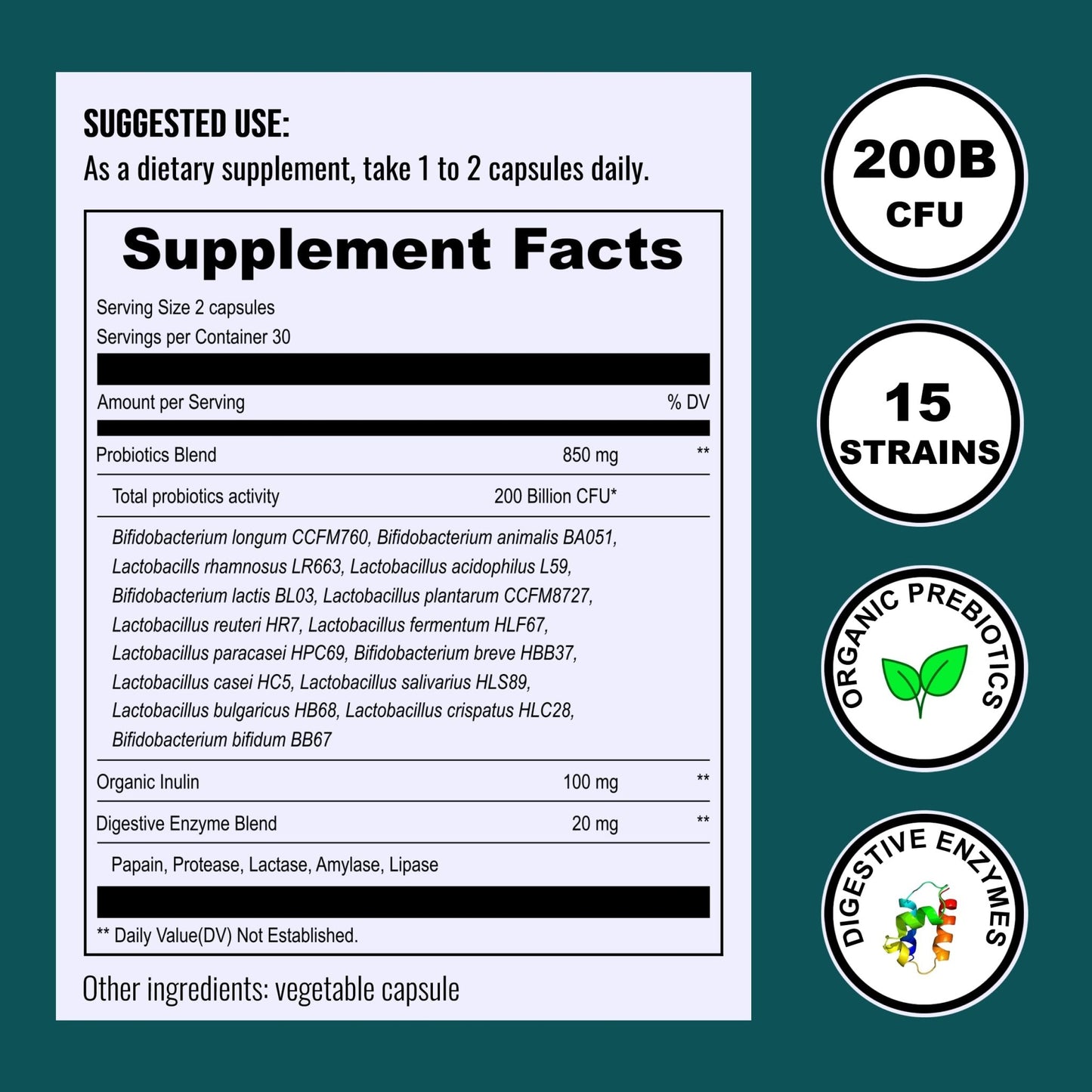 UpNourish Probiotics - 200 Billion CFUs for Men and Women, 15 Clinically Studied Strains, Prebiotics & Enzymes - 60 Vegan Capsules - dailyvitalstore