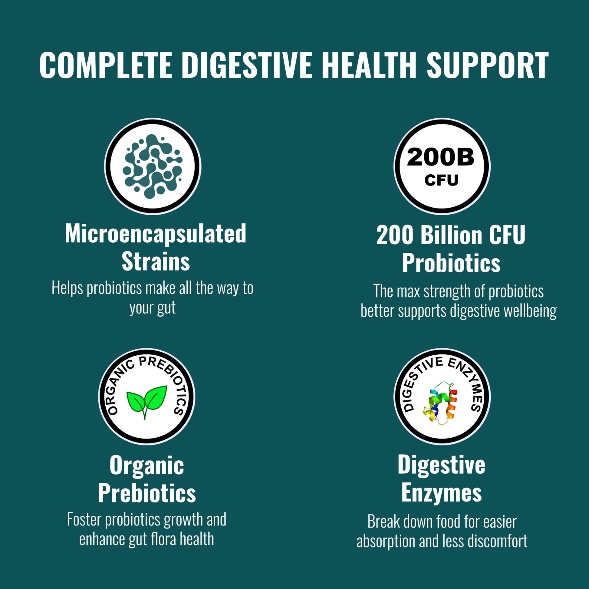 UpNourish Probiotics - 200 Billion CFUs for Men and Women, 15 Clinically Studied Strains, Prebiotics & Enzymes - 60 Vegan Capsules - dailyvitalstore