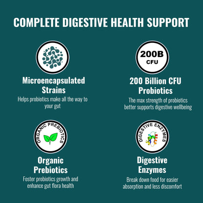 UpNourish Probiotics - 200 Billion CFUs for Men and Women, 15 Clinically Studied Strains, Prebiotics & Enzymes - 60 Vegan Capsules - dailyvitalstore