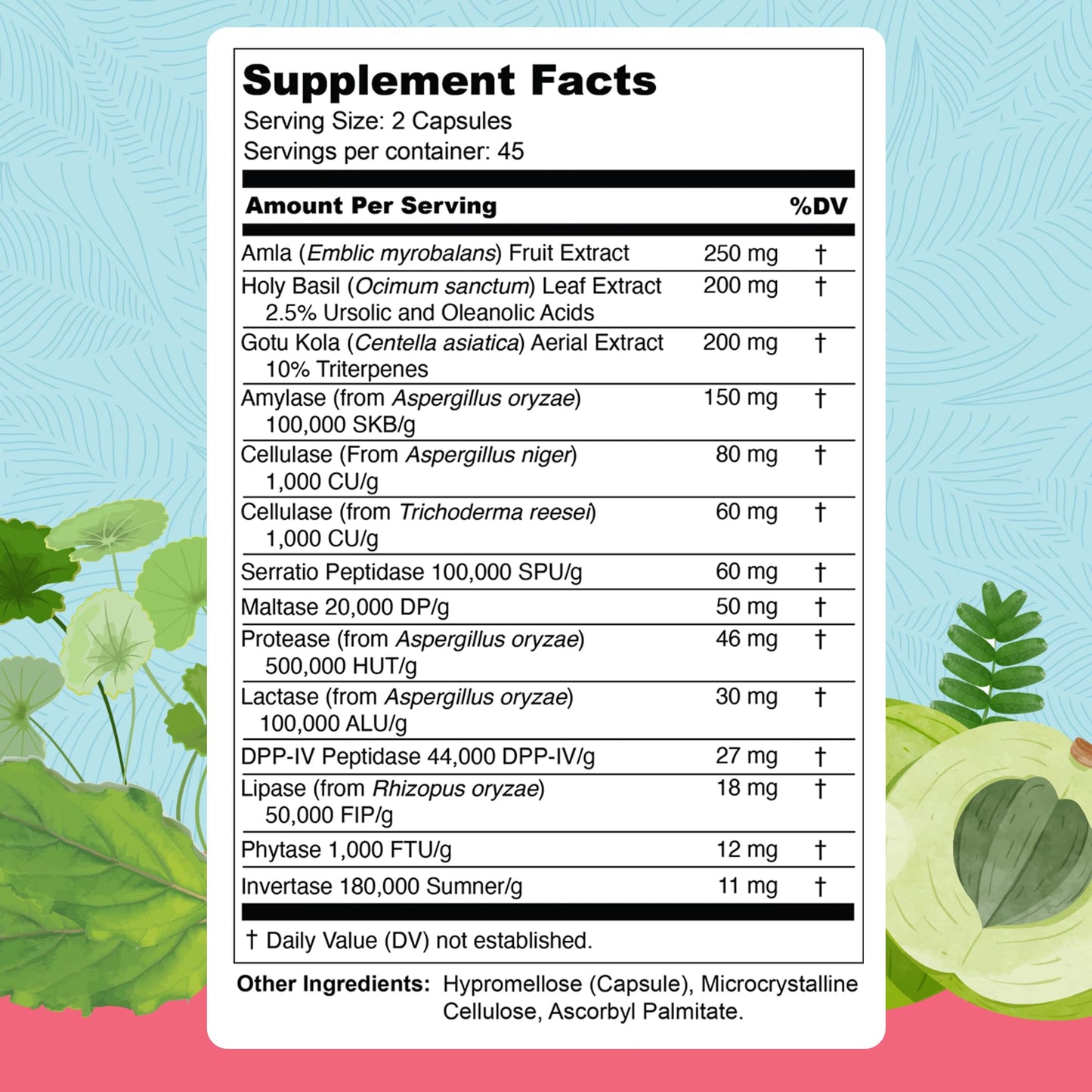UpWellness Total Revive+ Digestive Enzymes - Broad-Spectrum Enzymes for Digestive Health - Supports Gut Health and Nutrient Absorption - dailyvitalstore