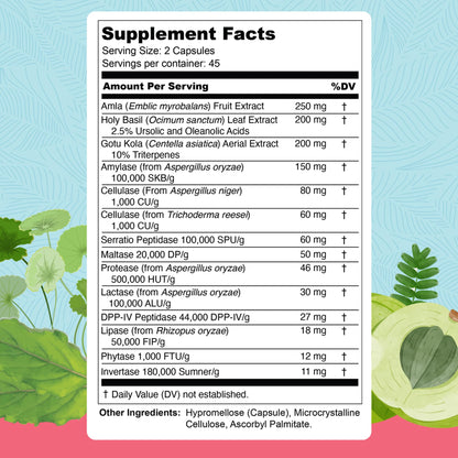 UpWellness Total Revive+ Digestive Enzymes - Broad-Spectrum Enzymes for Digestive Health - Supports Gut Health and Nutrient Absorption - dailyvitalstore