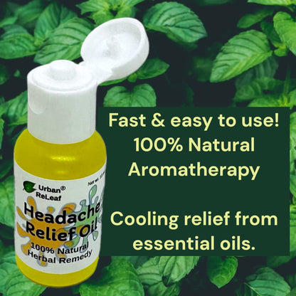 Urban ReLeaf Headache Relief Oil! 100% Natural Herbal Remedy, Sinus, Tension, Neck, Temples. Made in USA! Works Fast! Gentle Essential Oil Relief - dailyvitalstore