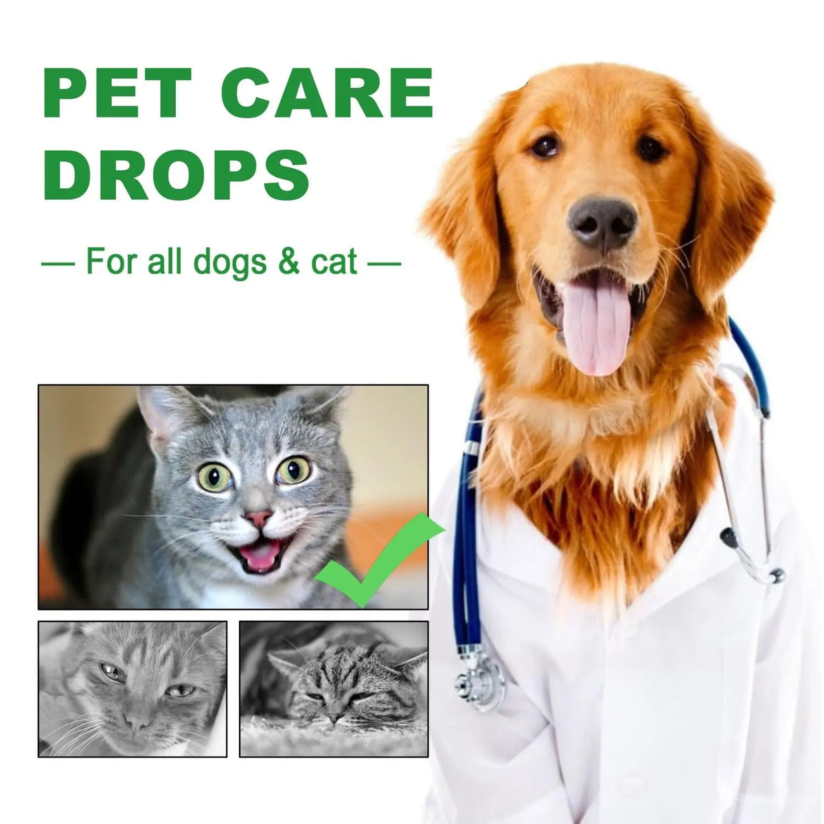 Urinary Tract for Cats, Cat & Dog Urinary Tract Drops Infection Remedy with Cranberry Dog Supplements, Cranberry Kidney Bladder Support Supplement - 60ml / 2 Fl.oz - dailyvitalstore