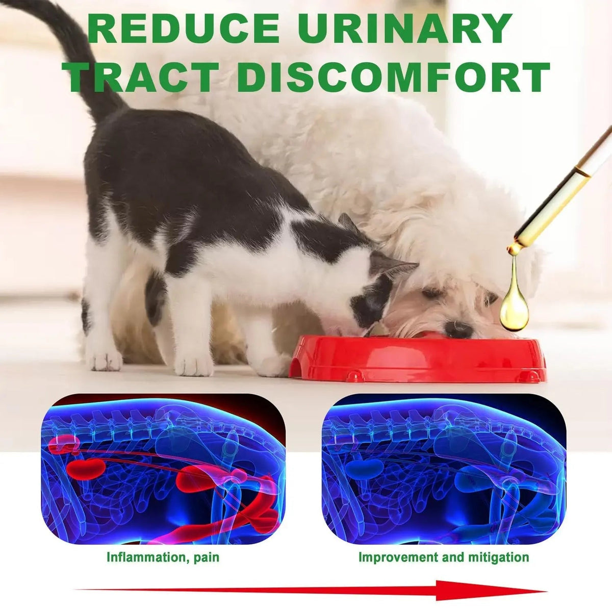 Urinary Tract for Cats, Cat & Dog Urinary Tract Drops Infection Remedy with Cranberry Dog Supplements, Cranberry Kidney Bladder Support Supplement - 60ml / 2 Fl.oz - dailyvitalstore