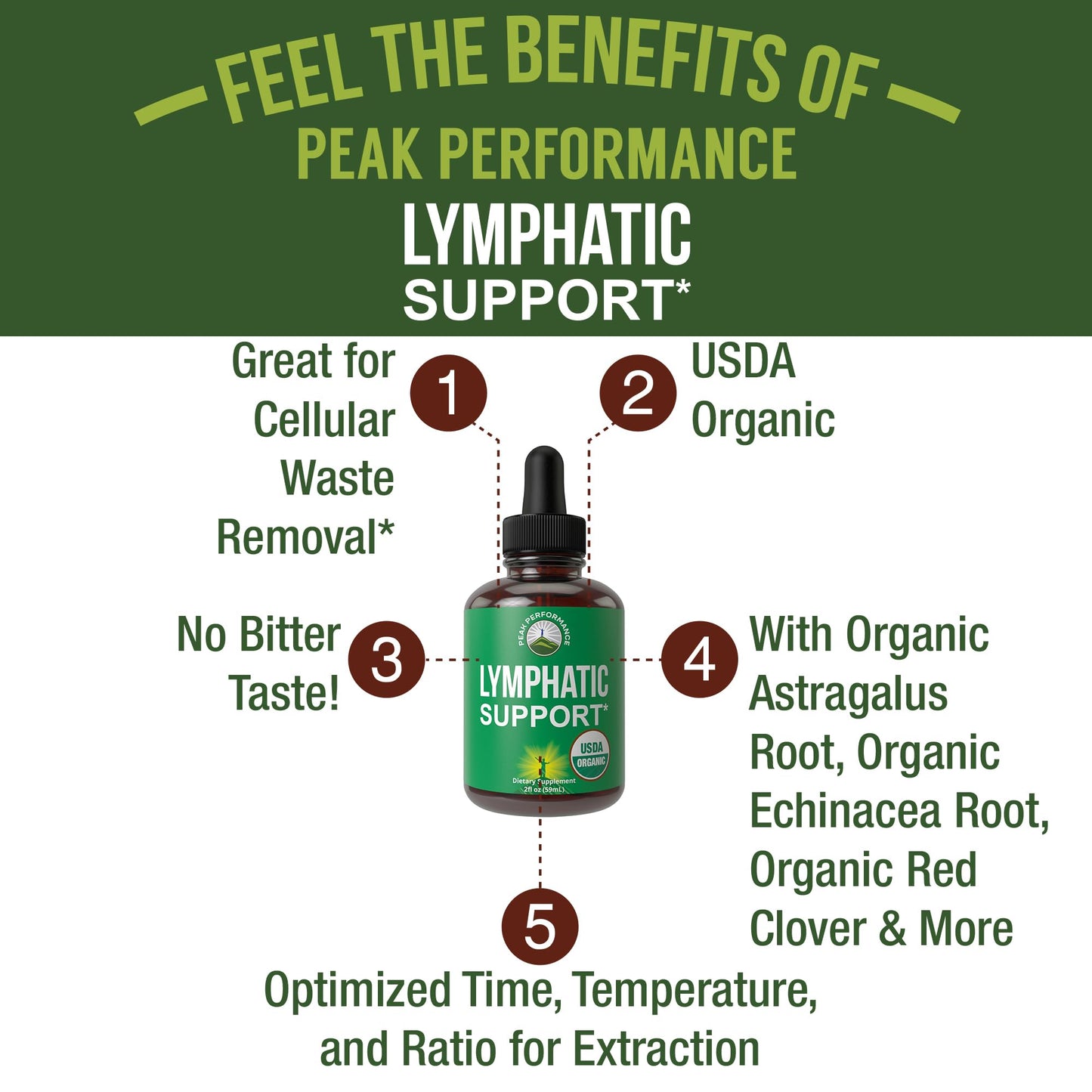 USDA Organic Lymphatic Drainage Drops. Sugar Free, Tasty 6-in-1 Lymph System Support for Detox, Cleanse. Vegan Supplement with Astragalus, Echinacea, Red Clover, Cleavers Herb, Licorice & Burdock Root - dailyvitalstore