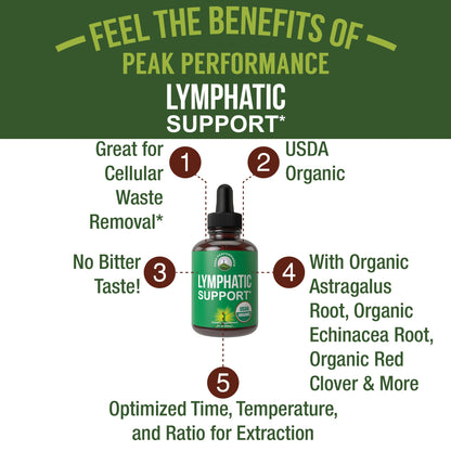 USDA Organic Lymphatic Drainage Drops. Sugar Free, Tasty 6-in-1 Lymph System Support for Detox, Cleanse. Vegan Supplement with Astragalus, Echinacea, Red Clover, Cleavers Herb, Licorice & Burdock Root - dailyvitalstore