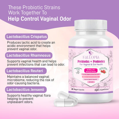 Vaginal Probiotics for Women with Prebiotics Cranberry D Mannose Digestive Enzymes & Hibiscus 34 Strains 100 Billion CFU Feminine Care Supplement for Gut Urinary Health and pH Balance Support - dailyvitalstore