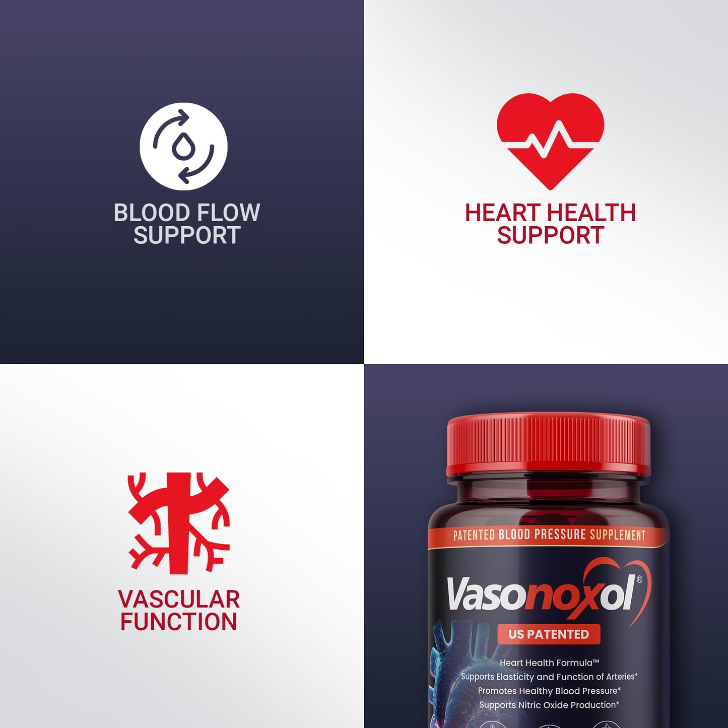 Vasonoxol U.S. Patented Nitric Oxide Supplement for Blood Pressure Support 2880mg - Physician Formulated Vascular Health Formula with L-Arginine & L-Citrulline - Vegan, Non-GMO (120 Capsules) - dailyvitalstore