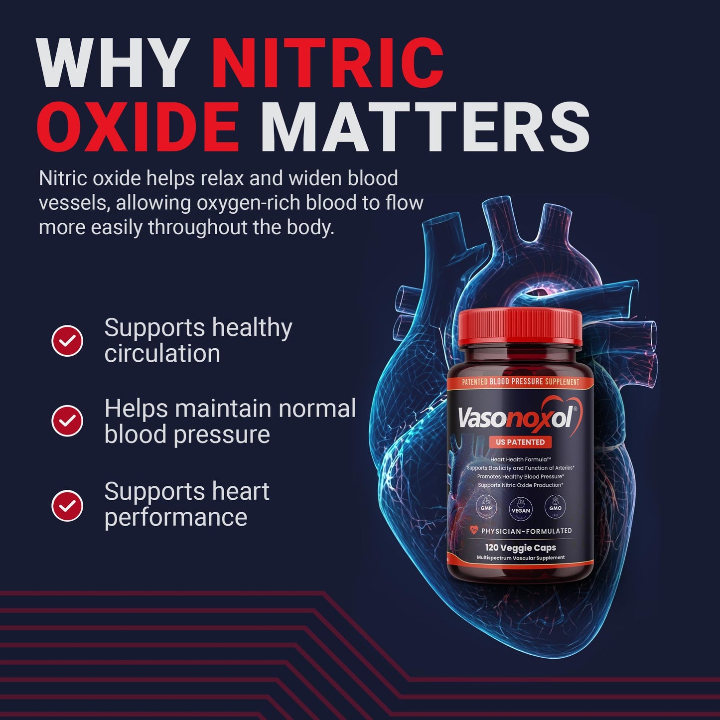 Vasonoxol U.S. Patented Nitric Oxide Supplement for Blood Pressure Support 2880mg - Physician Formulated Vascular Health Formula with L-Arginine & L-Citrulline - Vegan, Non-GMO (120 Capsules) - dailyvitalstore