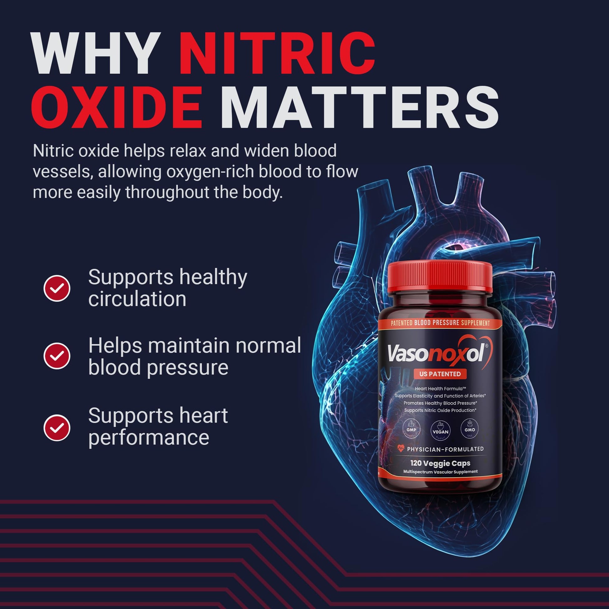 Vasonoxol U.S. Patented Nitric Oxide Supplement for Blood Pressure Support 2880mg - Physician Formulated Vascular Health Formula with L-Arginine & L-Citrulline - Vegan, Non-GMO (120 Capsules) - dailyvitalstore