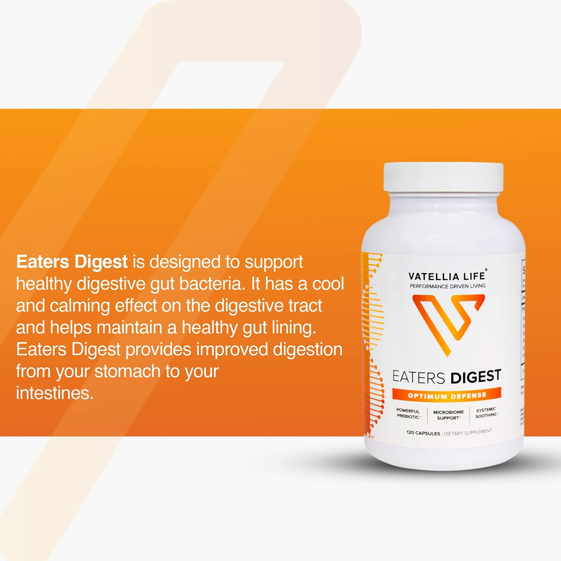 Vatellia Life New from Eaters Digest | Prebiotic | Probiotic | Digestive Support | Gut Soothing | Healthy Gut Lining | Max Nutrient Absorption - dailyvitalstore