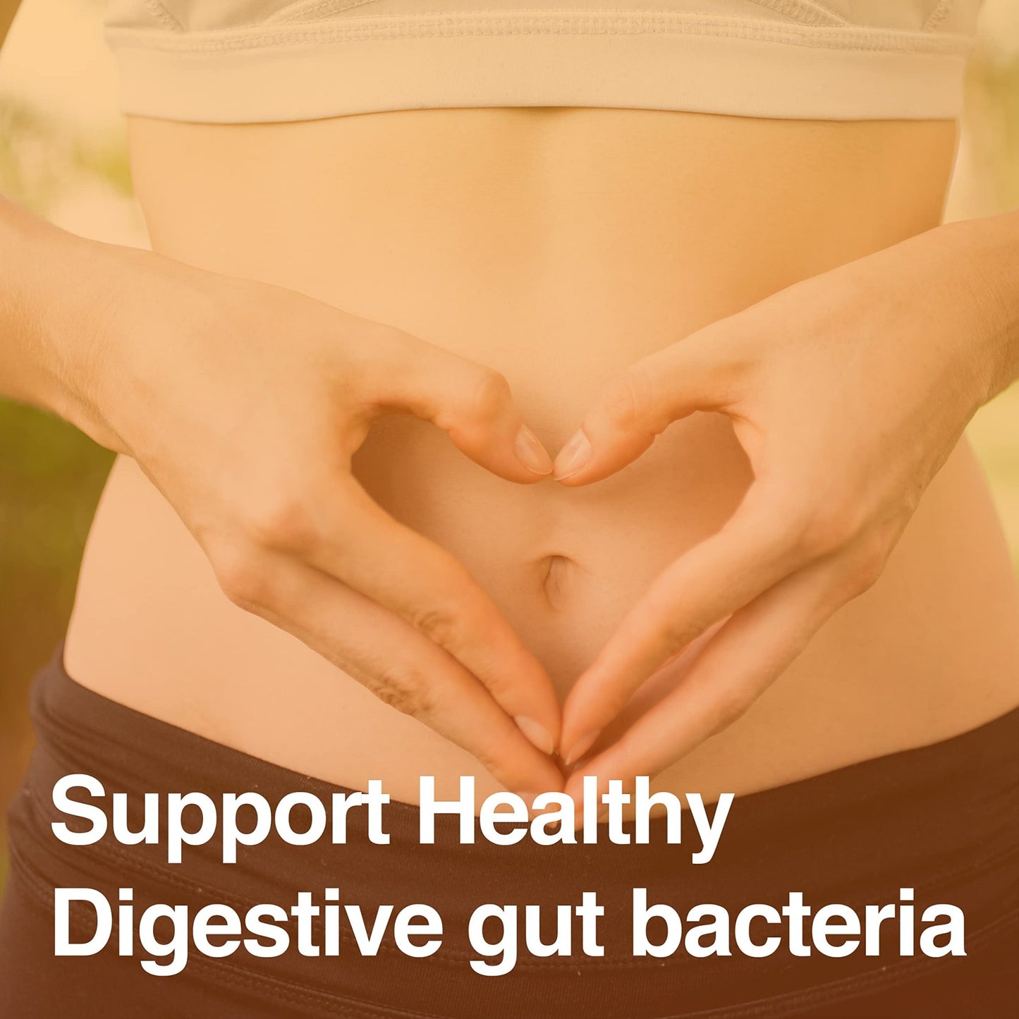 Vatellia Life New from Eaters Digest | Prebiotic | Probiotic | Digestive Support | Gut Soothing | Healthy Gut Lining | Max Nutrient Absorption - dailyvitalstore