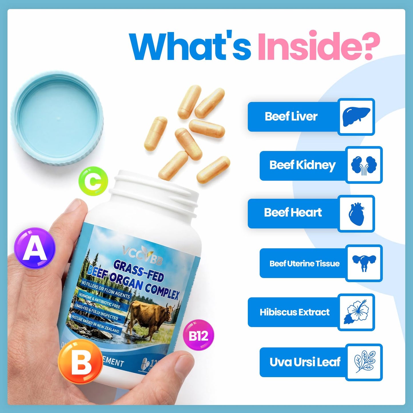 VCCVBB Beef Organ Supplements for Women, Beef Liver, Kidney, Heart, Uterus Tissue, Hormonal Balance, Immune Support,Natural Iron Vitamins Supplements for Energy, Grass Fed Pasture Raised 120 Capsules - dailyvitalstore