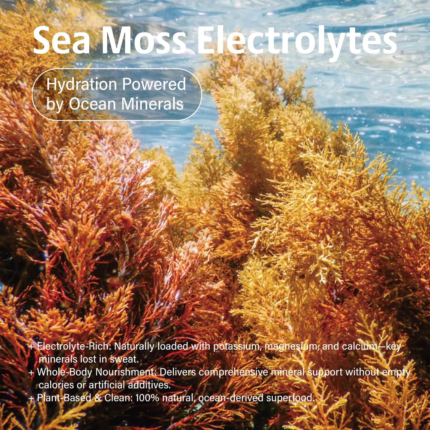 VDY Sea Moss Electrolytes Powder Packets - Hydration Packets Sugar Free - Electrolyte Packets with 30 Sticks - Zero Sugar & 0 Calorie - Keto Friendly - dailyvitalstore
