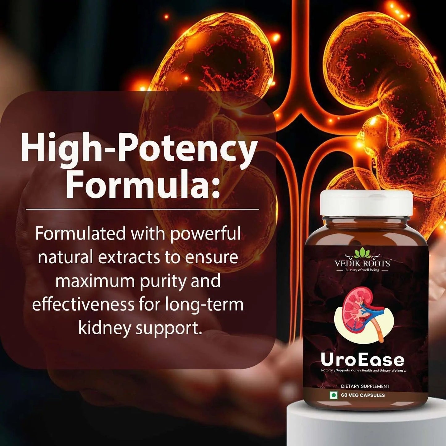VEDIKROOTS UroEase | Ayurvedic Herbal Supplement for Kidney Health & Uric Acid Levels | Supports Urinary Tract Health | 60 Veg Capsules - dailyvitalstore