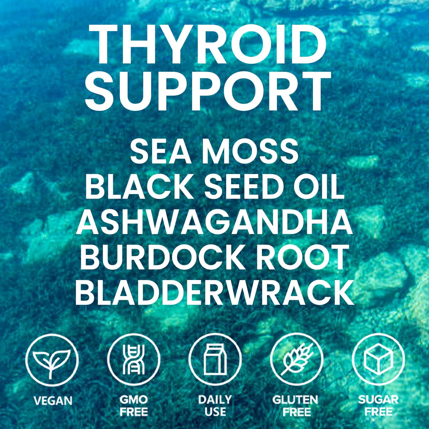 Velestoff Irish Seamoss Thyroid Hormone Regulator, Velestoff Thyroid Support Drops | Sea Moss, Black Seed Oil, Ashwagandha, Burdock Root, Bladderwrack, Hormone Balance & Support - 2 FL.OZ (1 Pcs) - dailyvitalstore