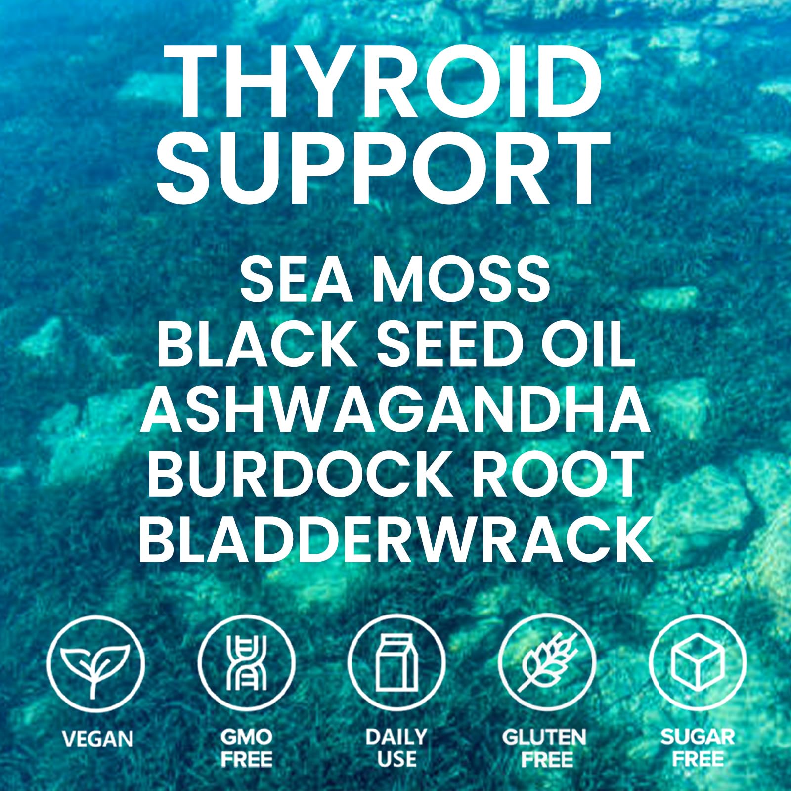 Velestoff Irish Seamoss Thyroid Hormone Regulator, Velestoff Thyroid Support Drops | Sea Moss, Black Seed Oil, Ashwagandha, Burdock Root, Bladderwrack, Hormone Balance & Support - 2 FL.OZ (1 Pcs) - dailyvitalstore