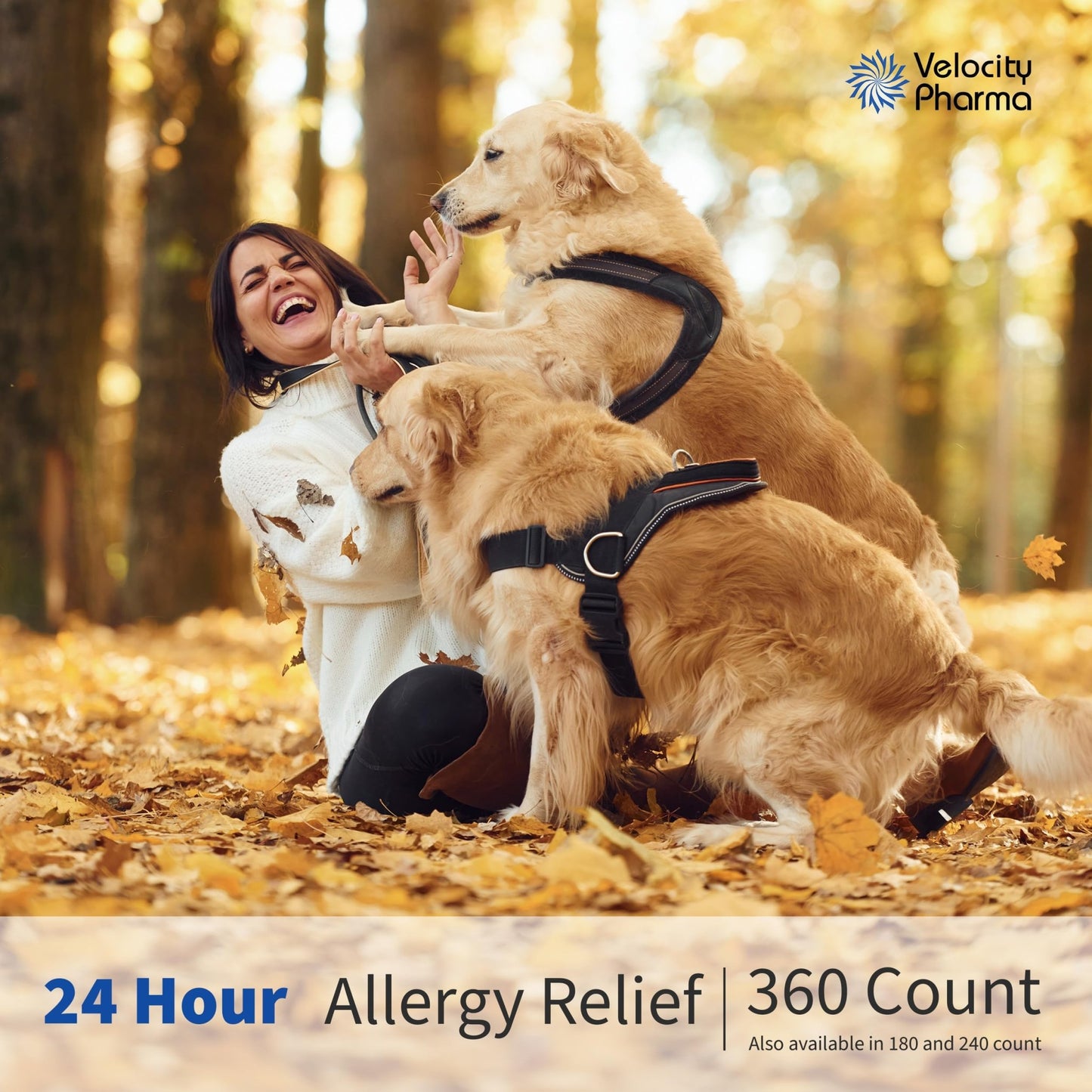 Velocity Pharma Levocetirizine Dihydrochloride 5mg USP Tablets, 24 Hour Allergy Relief Non-Drowsy Antihistamine, 360 Count - dailyvitalstore