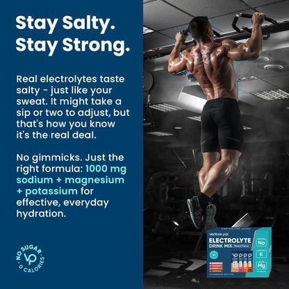 Venture Pal High Sodium Sugar Free Electrolytes Powder Packet - Hydration Packets with Vitamin, Sodium & Potassium | Zero Calories | Vegan, Keto & Paleo Friendly - dailyvitalstore
