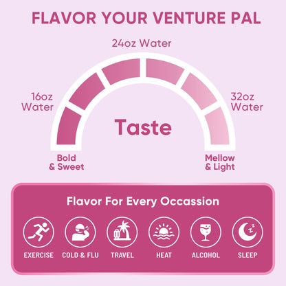 Venture Pal Sugar Free Electrolyte Powder Packets - Liquid Daily IV Hydration Packets | Electrolytes Drink Mix with 5 Vitamins & 7 Electrolytes | Keto Friendly | Non-GMO | Certified Vegan | 16 Sticks - dailyvitalstore