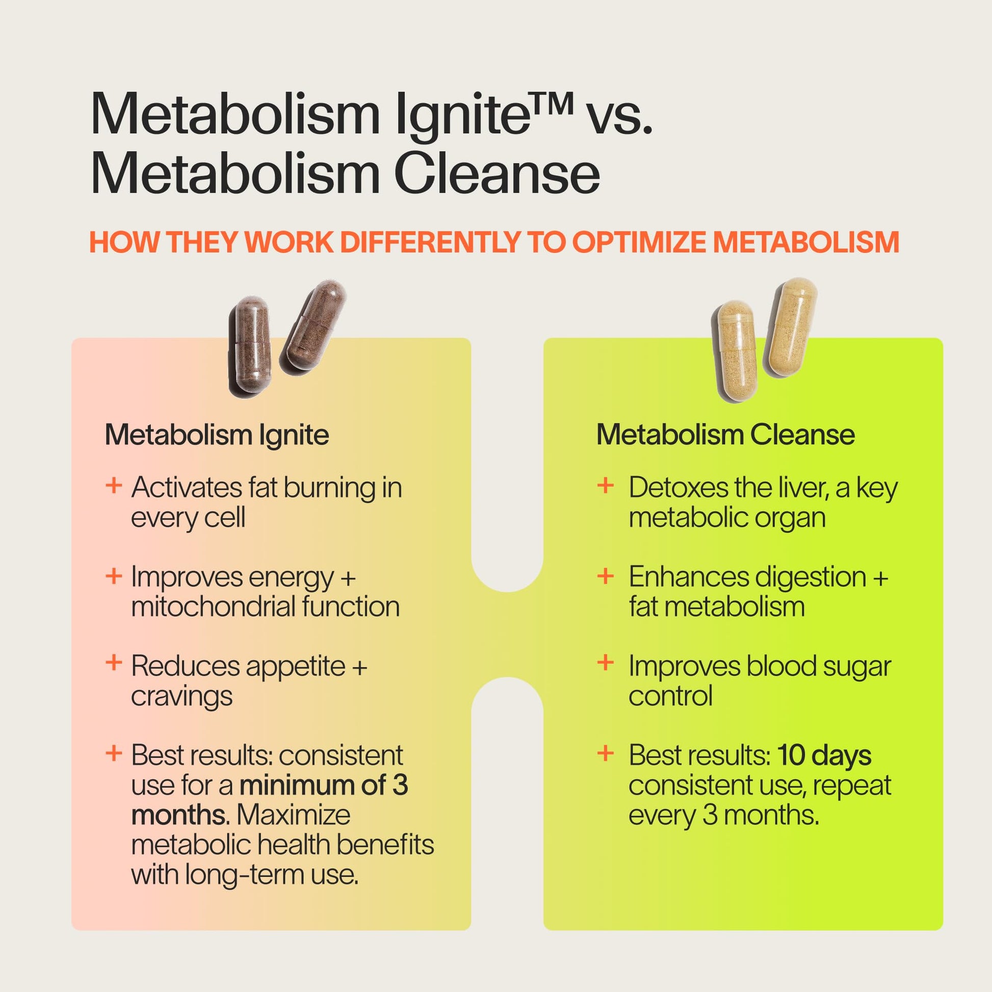 Veracity Metabolism Cleanse - 10 Day Liver Detox, Improves Fat Digestion, Optimizes Metabolism - Helps Regulate Hormones - Toxin Free, Gluten Free, Vegan - dailyvitalstore