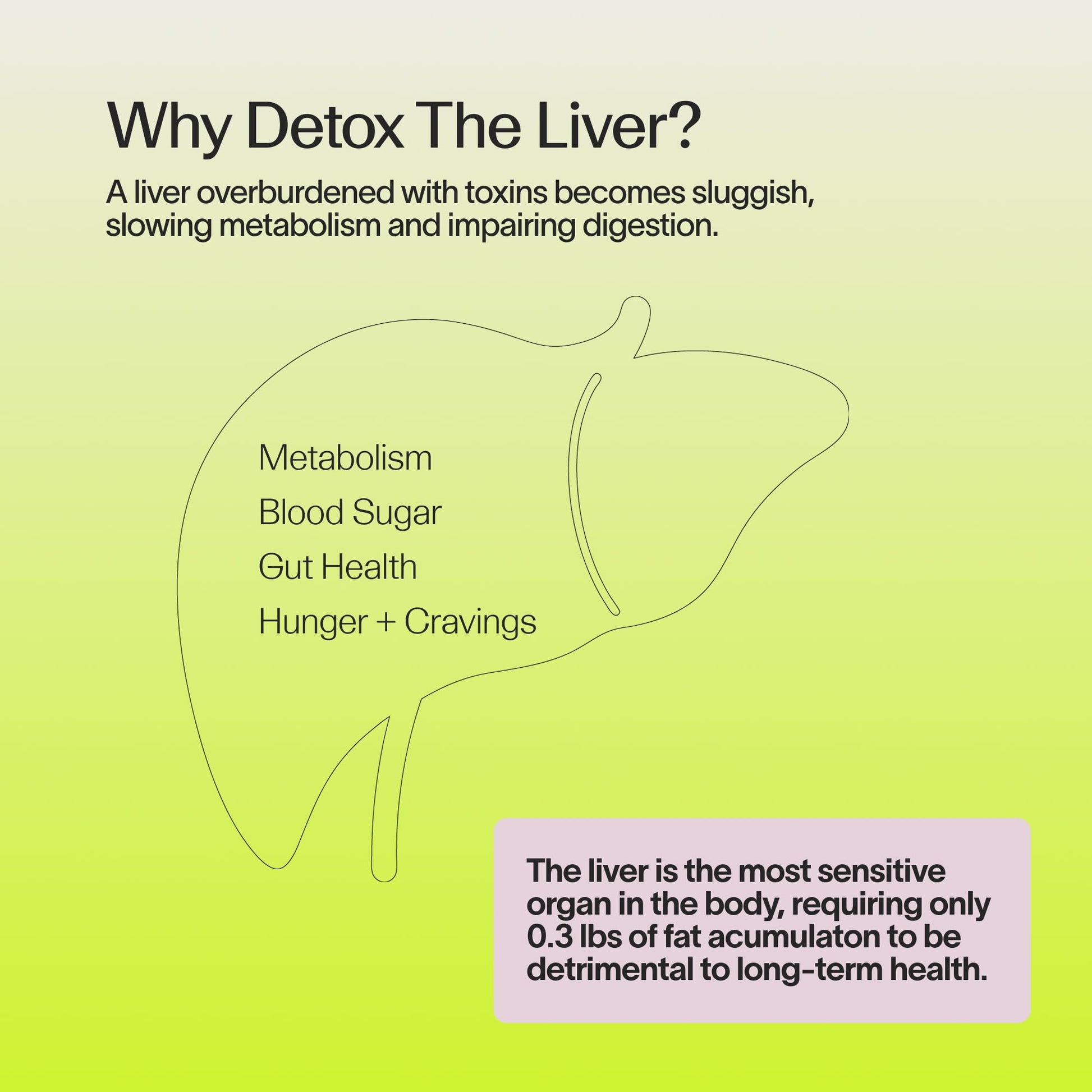 Veracity Metabolism Cleanse - 10 Day Liver Detox, Improves Fat Digestion, Optimizes Metabolism - Helps Regulate Hormones - Toxin Free, Gluten Free, Vegan - dailyvitalstore