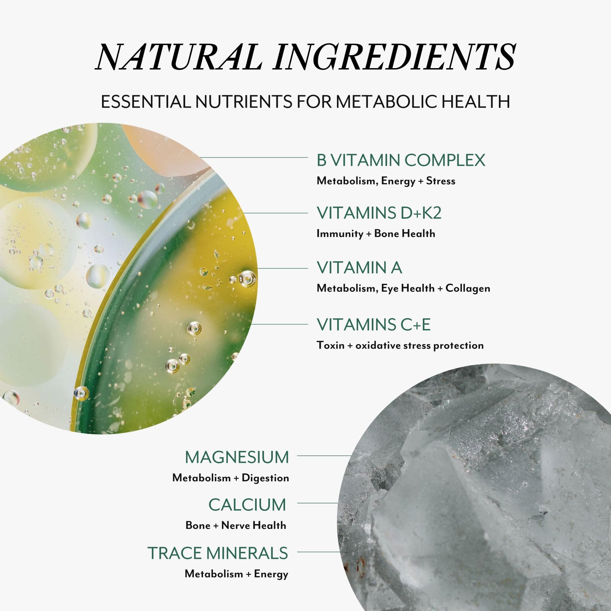 Veracity Multivitamin for Women - Vitamin B Complex, Magnesium, Calcium, Essential Vitamins Supplement, Trace Minerals for Metabolism, Energy, Immune Support & Cellular Detox - dailyvitalstore