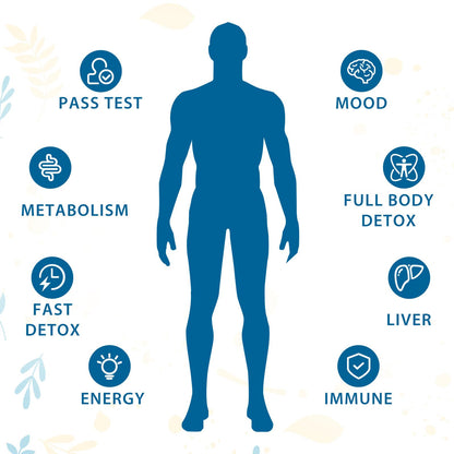 Verdanthus 31-in-ONE Detox and Liver Cleanser, Fast Detox, Full Body Detox, Toxins Cleaner for Liver, Kidney, Natural Herbal Formula - dailyvitalstore
