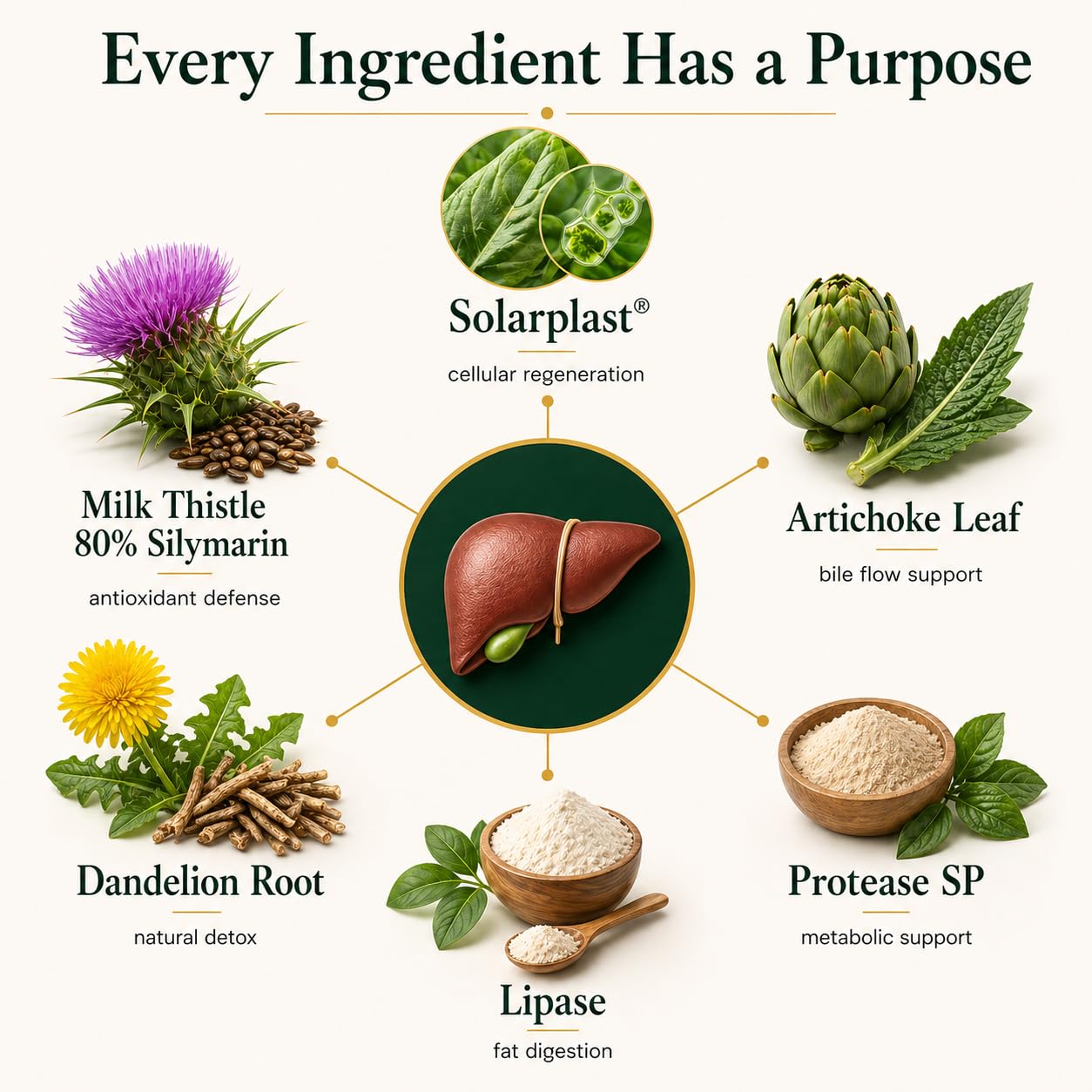 VESALIX Liver Support | 6-in-1 Liver & Digestive Support Formula | Solarplast®, Milk Thistle, Artichoke & Dandelion | Third-Party Tested - dailyvitalstore