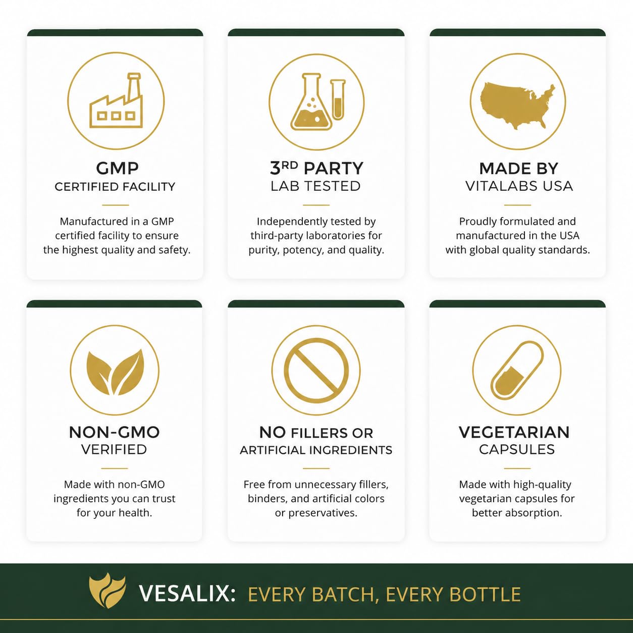 VESALIX Liver Support | 6-in-1 Liver & Digestive Support Formula | Solarplast®, Milk Thistle, Artichoke & Dandelion | Third-Party Tested - dailyvitalstore