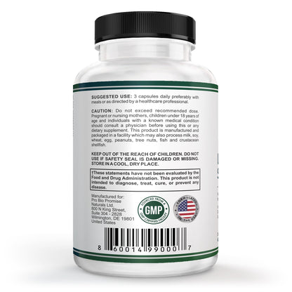VESALIX Liver Support Supplement for Adults 40+ – Milk Thistle, Artichoke & Dandelion with Digestive Enzymes – Supports Digestion & Cellular Health – 60 Vegetarian Capsules - dailyvitalstore