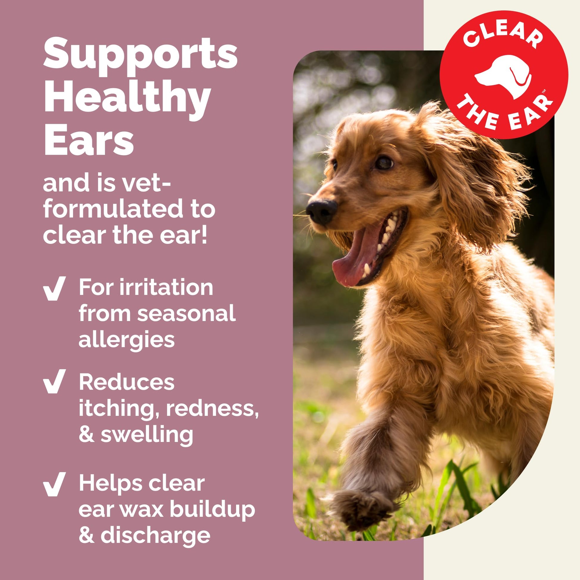 Vetnique Oticbliss Cat & Dog Ear Infection Treatment | Dog Ear Allergy Relief Drops, MicroSilver Yeast Infection Treatment for Dogs, Hydrocortisone for Itching, Redness Swelling (Ear Allergy Drops) - dailyvitalstore