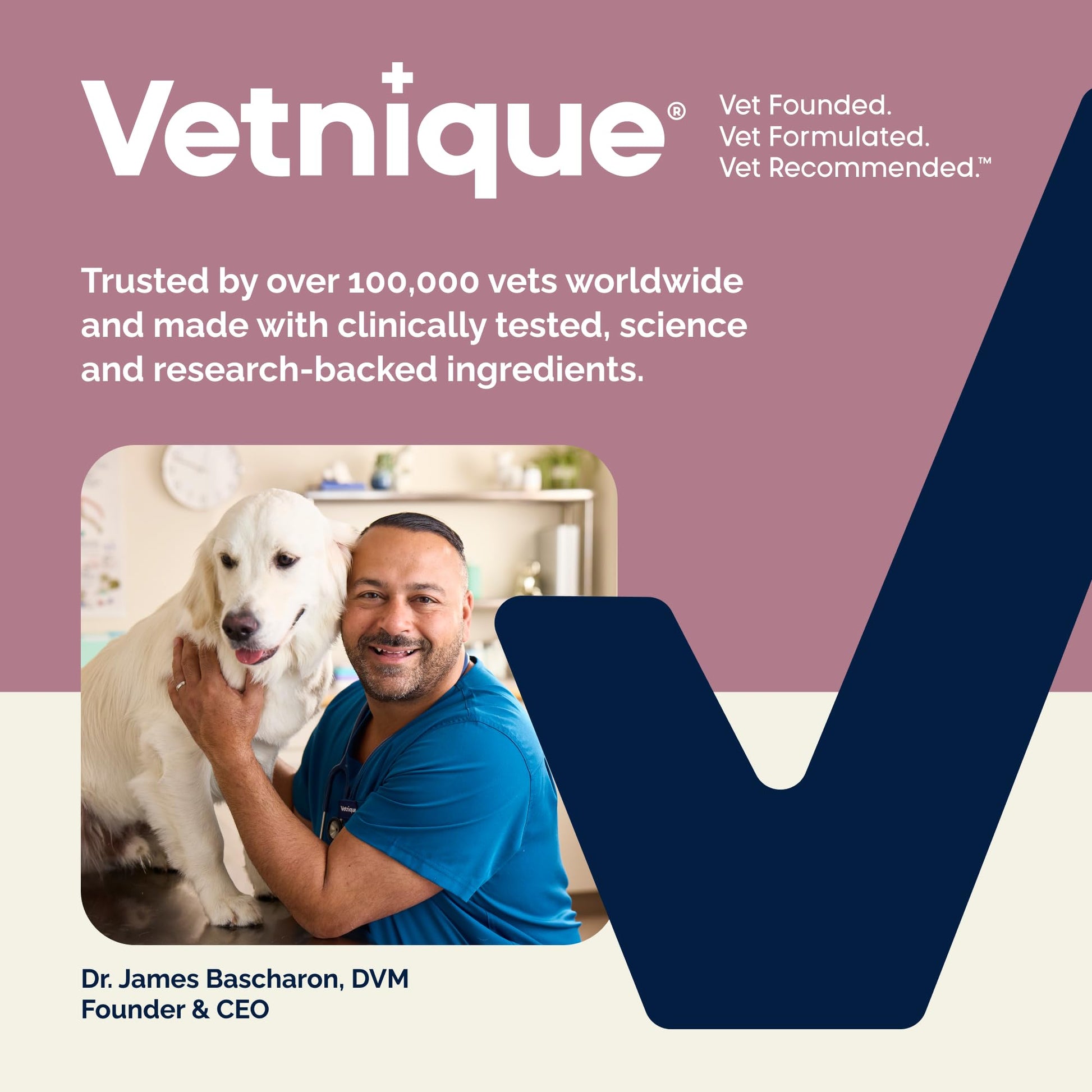 Vetnique Oticbliss Cat & Dog Ear Infection Treatment | Dog Ear Allergy Relief Drops, MicroSilver Yeast Infection Treatment for Dogs, Hydrocortisone for Itching, Redness Swelling (Ear Allergy Drops) - dailyvitalstore