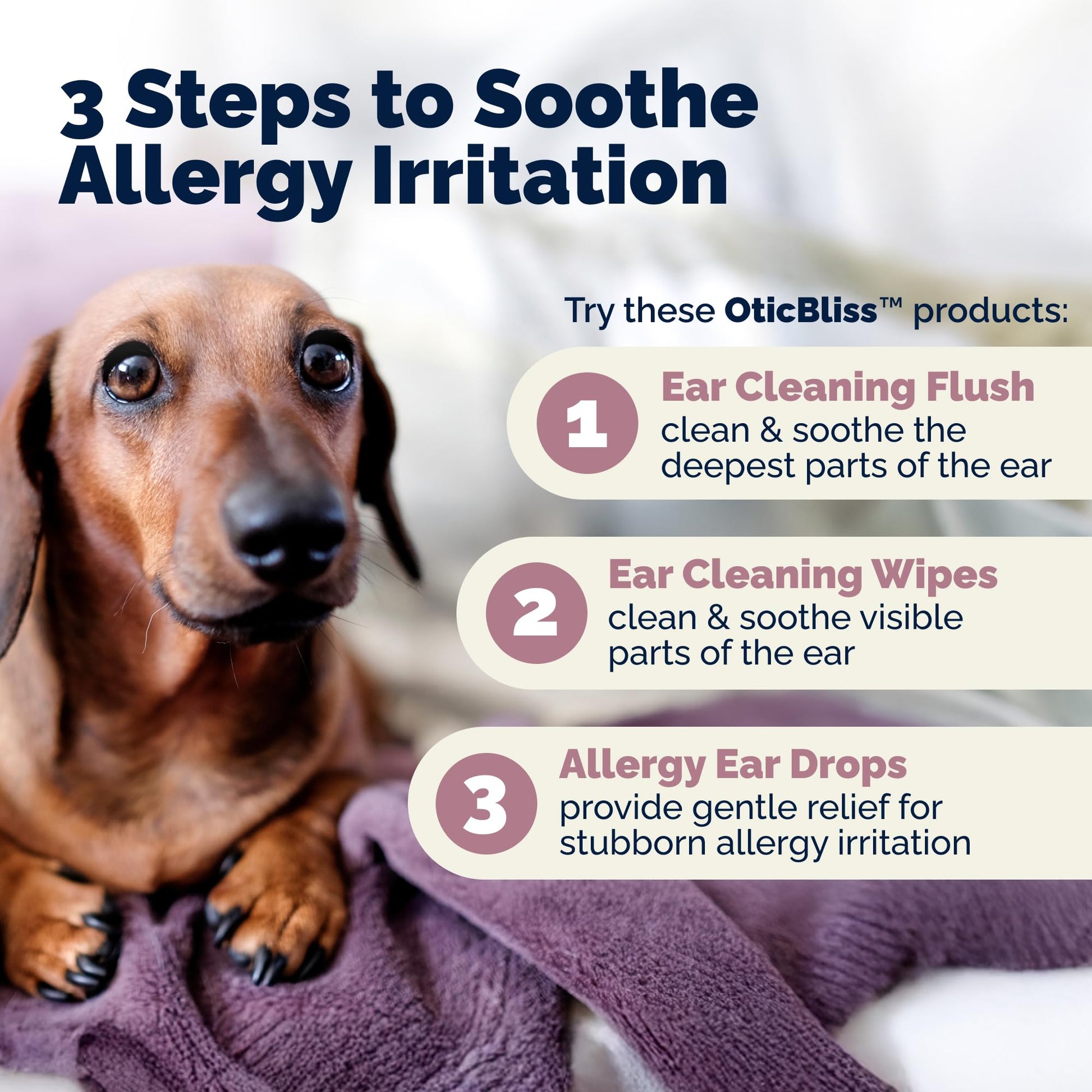 Vetnique Oticbliss Cat & Dog Ear Infection Treatment | Dog Ear Allergy Relief Drops, MicroSilver Yeast Infection Treatment for Dogs, Hydrocortisone for Itching, Redness Swelling (Ear Allergy Drops) - dailyvitalstore