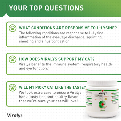 Vetoquinol Viralys Daily L-Lysine Powder for Cats and Kittens, Fish Flavored Lysine Supplement for Cats and Kittens to Support Immune Health - dailyvitalstore