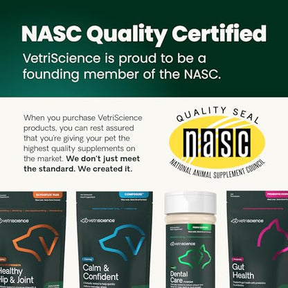 VetriScience Ultimate Strength Hip & Joint Supplement for Dogs, GlycoFlex Plus – MSM, Chondroitin & Green-Lipped Mussel Chews for Mobility, Flexibility, Comfort & Support, Peanut Butter Flavor 120 Cnt - dailyvitalstore