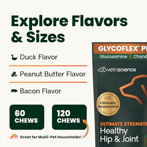 VetriScience Ultimate Strength Hip & Joint Supplement for Dogs, GlycoFlex Plus – MSM, Chondroitin & Green-Lipped Mussel Chews for Mobility, Flexibility, Comfort & Support, Peanut Butter Flavor 120 Cnt - dailyvitalstore